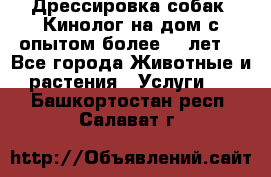 Дрессировка собак (Кинолог на дом с опытом более 10 лет) - Все города Животные и растения » Услуги   . Башкортостан респ.,Салават г.